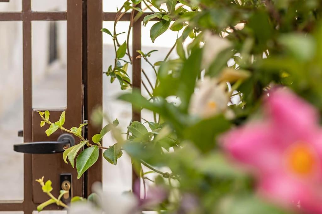Cconforthotels Appartamento Domus Venezia Bari Dış mekan fotoğraf
